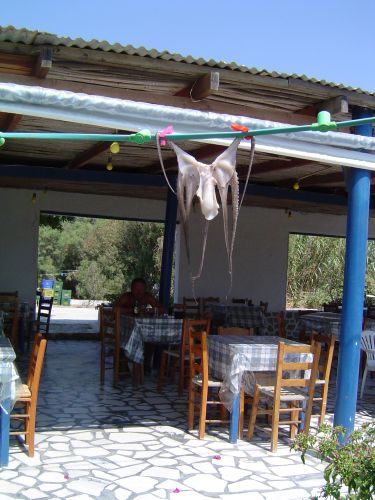 Naxos, Hellas
Bilder fra den greske øya Naxos
Keywords: Naxos;Greece;Hellas;Kykladene