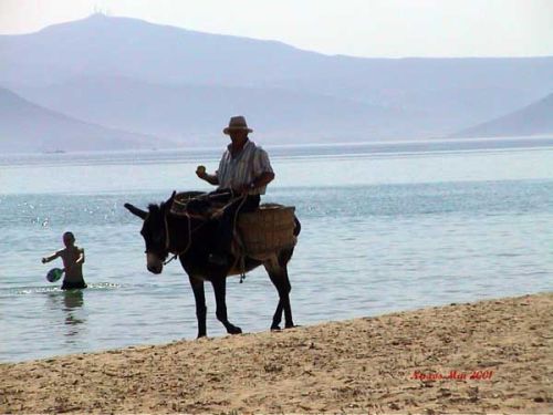 Naxos, Hellas
Bilder fra den greske øya Naxos
Keywords: Naxos;Greece;Hellas;Kykladene