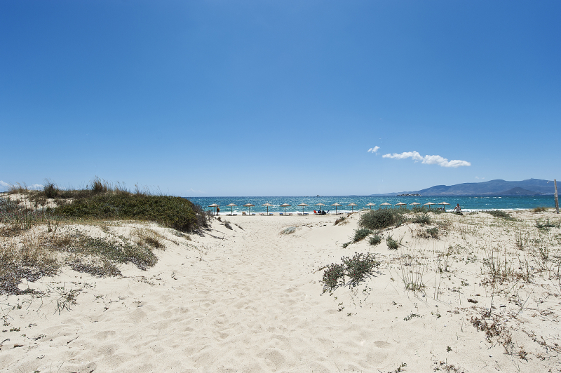 Plaka Beach, Naxos
Fra den vakre plaka stranden på Naxos
Keywords: Hellas;Naxos;Greece;Beach;Strand