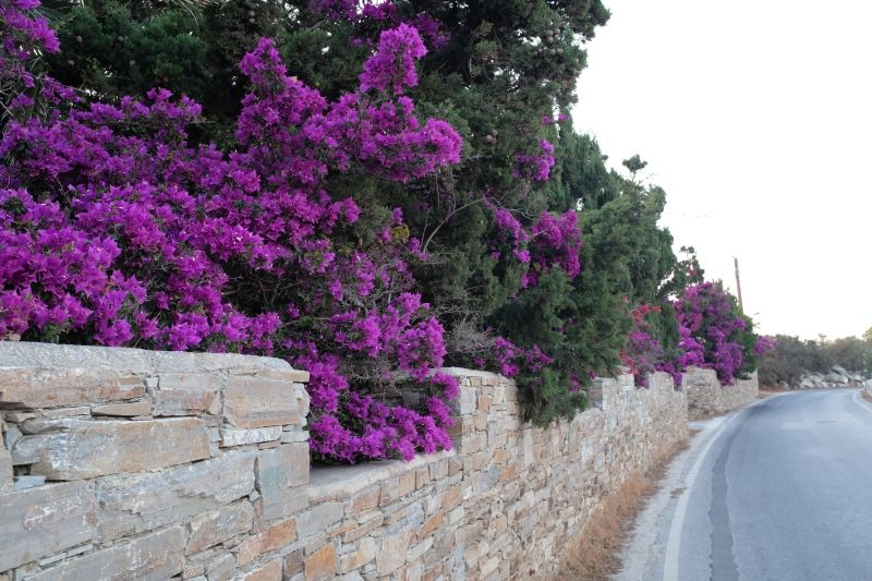 Naxos
Keywords: Naxos;Hellas;Greece