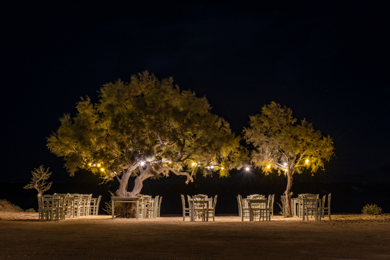 Naxos
The tree at Taverna Paradiso
Keywords: Naxos;Greece;Greek;Island;Kykladene;Cyclades;Plaka;paradiso;Beach