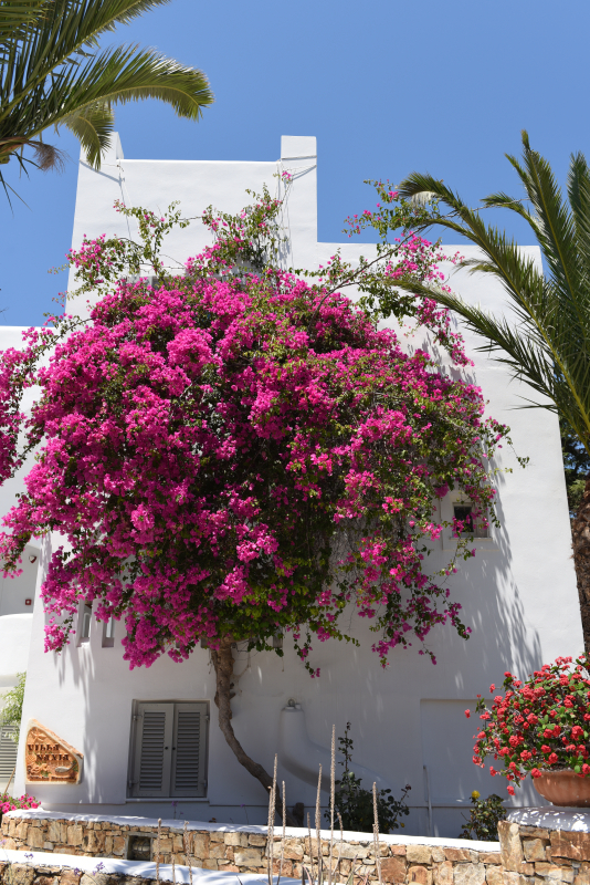 Naxos
Keywords: Naxos;Hellas;Greece