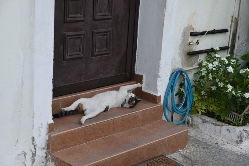 Naxos
Keywords: Naxos;Hellas;Greece