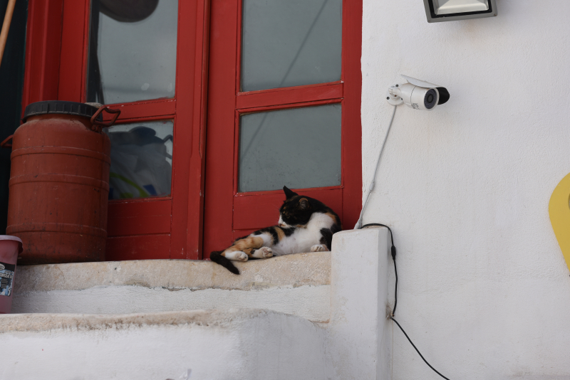 Naxos
Keywords: Naxos;Hellas;Greece