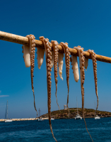 Filename=Naxos-2019_0140.jpg
Filesize=4393KiB
Dimensions=3154x4016
Date added=Dec 22, 2022 Naxos-2019_0140.jpg