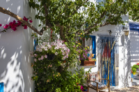 Filename=Naxos_2019_0109.jpg
Filesize=15882KiB
Dimensions=6016x4016
Date added=Dec 21, 2022 Naxos_2019_0109.jpg