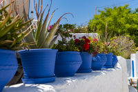 Filename=Naxos_2019_0159.jpg
Filesize=14621KiB
Dimensions=6016x4016
Date added=Dec 21, 2022 Naxos_2019_0159.jpg