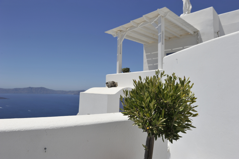 Santorini
Keywords: Santorini;Greece;Hellas;Greek;Kykladene;Cyclades;Island