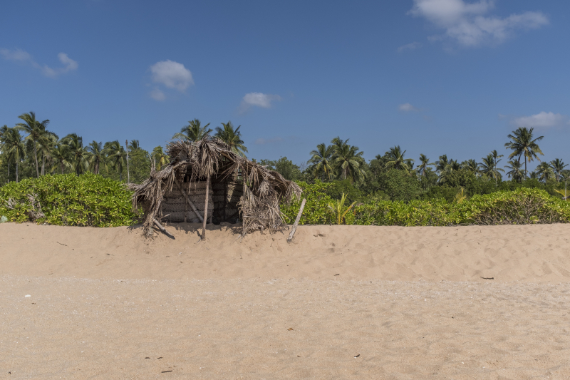 Tangalle
Keywords: Tangalle;Sri Lanka;Ceylon;Asia;Strand;Beach