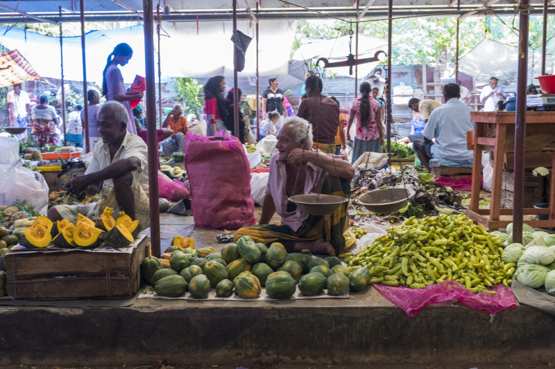 Tangalle
Keywords: Tangalle;Sri Lanka;Ceylon;Asia