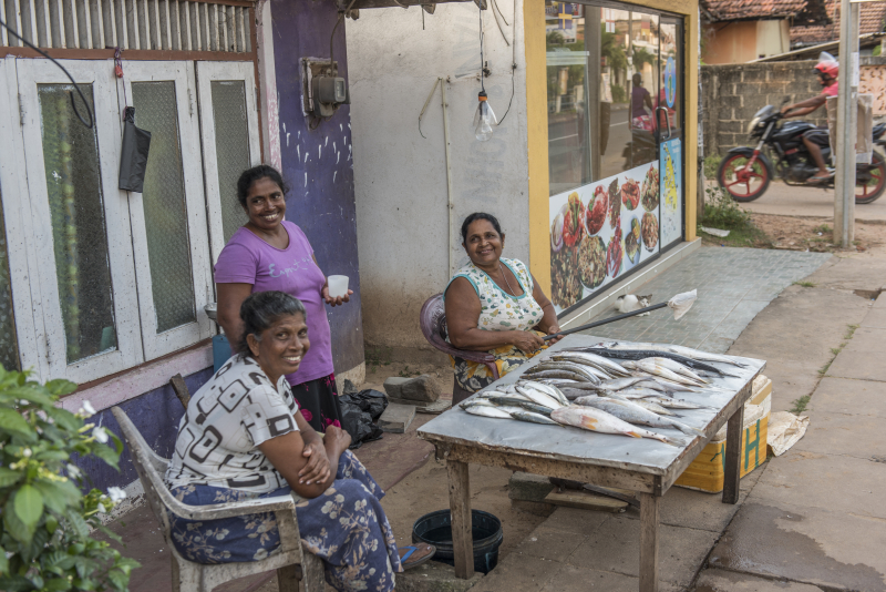 Negombo
Keywords: Negombo;Sri Lanka;Ceylon;Asia