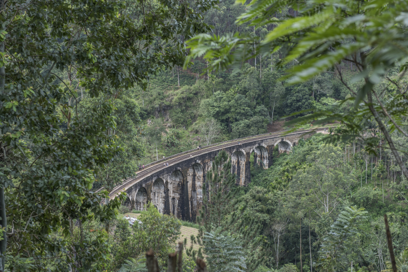 Ella
Nine Arches Bridge også kalt Bridge in the Sky, er en viaduktbro på Sri Lanka. Det er et av de beste eksemplene på jernbanebygging fra kolonitiden i landet. Det ligger i Demodara, mellom Ella og Demodara jernbanestasjoner.
Keywords: Ella;Sri Lanka;Ceylon;Asia