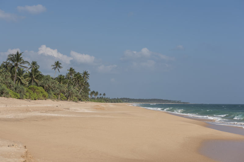 Tangalle
Keywords: Tangalle;Sri Lanka;Ceylon;Asia;Strand;Beach