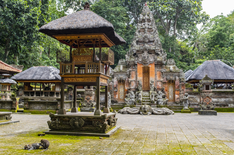 Ubud, Bali
Fra Monkey Forest. Er du redd for apekatter så er ikke dette plassen for deg. Her får du dem plutselig opp i håret for å plukke lus fra deg.
Keywords: Ubud;Indonesia;Bali;Asia