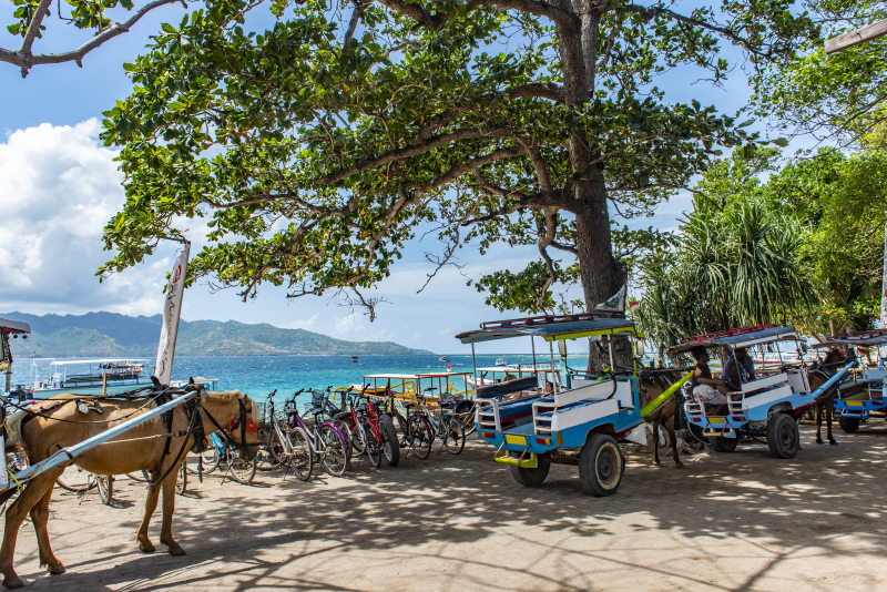 Gili Air, Indonesia
Keywords: Gili Air;Indonesia;Bali;Asia