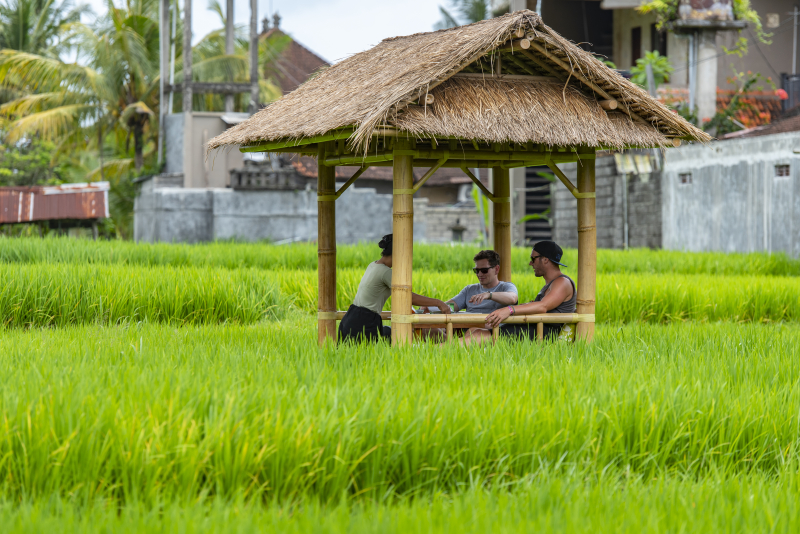 Ubud, Bali
Keywords: Ubud;Indonesia;Bali;Asia