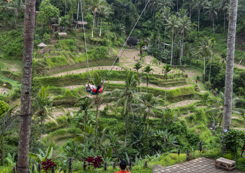Ubud, Bali
Keywords: Ubud;Indonesia;Bali;Asia