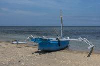 Filename=DSC_5503.jpg
Filesize=13622KiB
Dimensions=5965x3982
Date added=Dec 23, 2022 DSC_5503.jpg