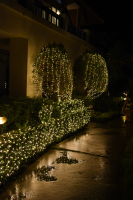 Filename=DSC_1559.JPG
Filesize=8070KiB
Dimensions=4016x6016
Date added=Dec 22, 2022 DSC_1559.JPG