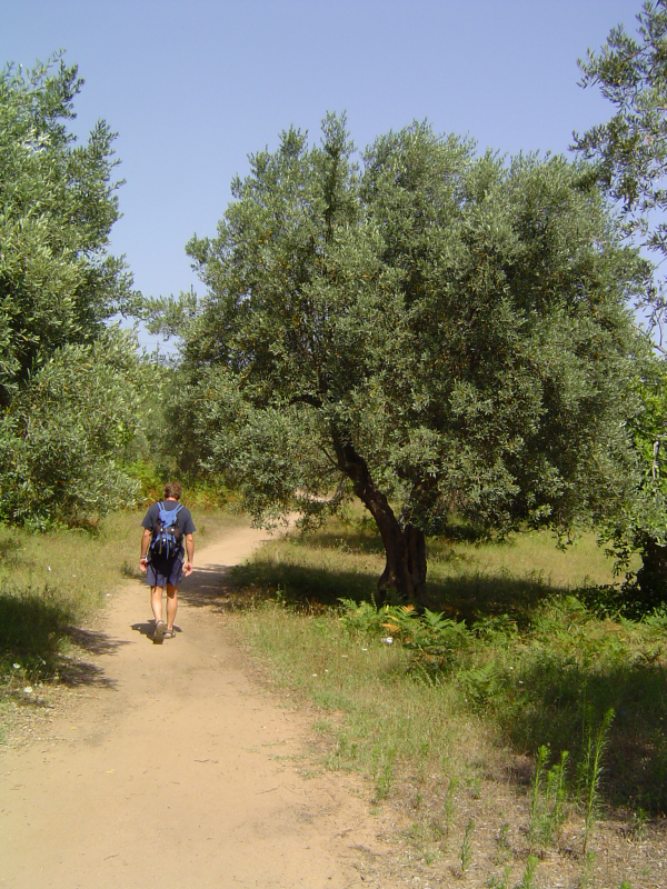 Skiathos
Keywords: Skiathos;Sporadene;Sporades;Greece;Hellas;Grekenland